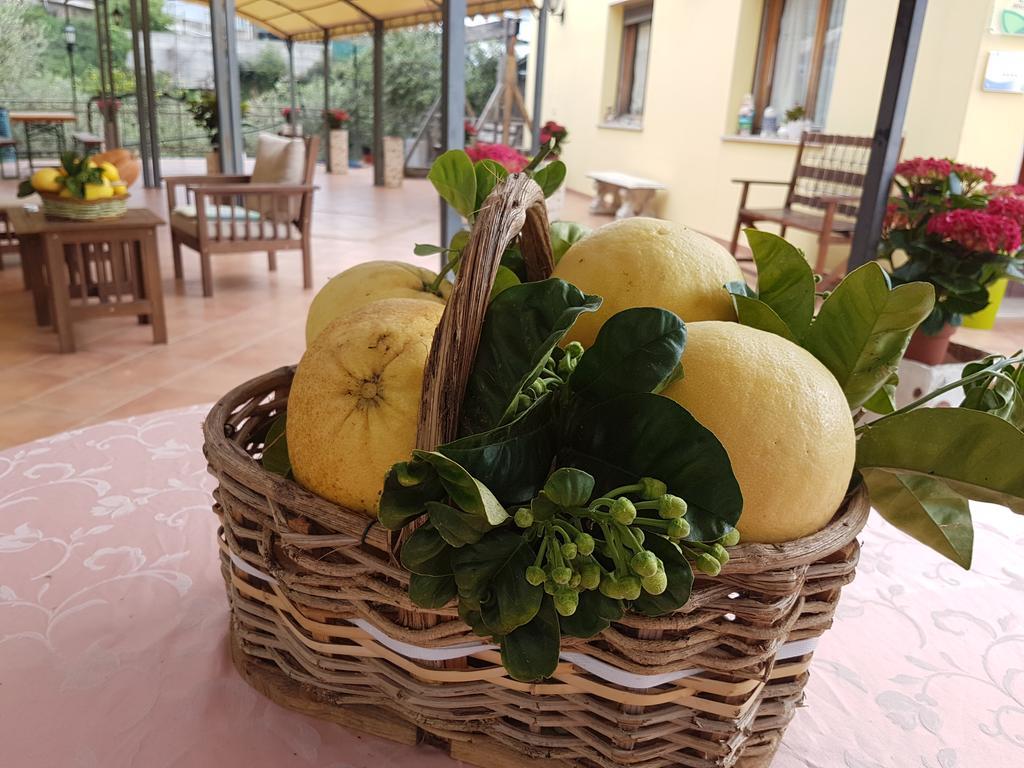 Agriturismo Al Nido Degli Aironi Sanremo Exterior foto